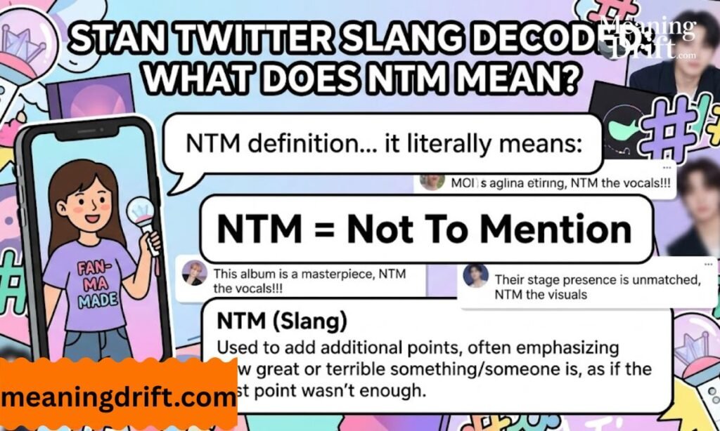 NTM Meaning Stan Twitter