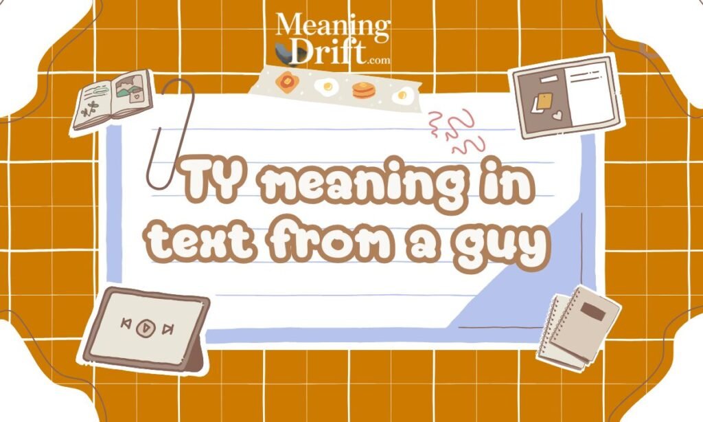 TY meaning in text from a guy