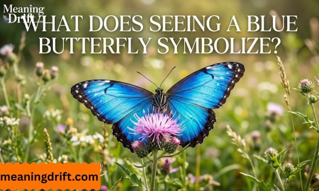 What Does Seeing a Blue Butterfly Symbolize