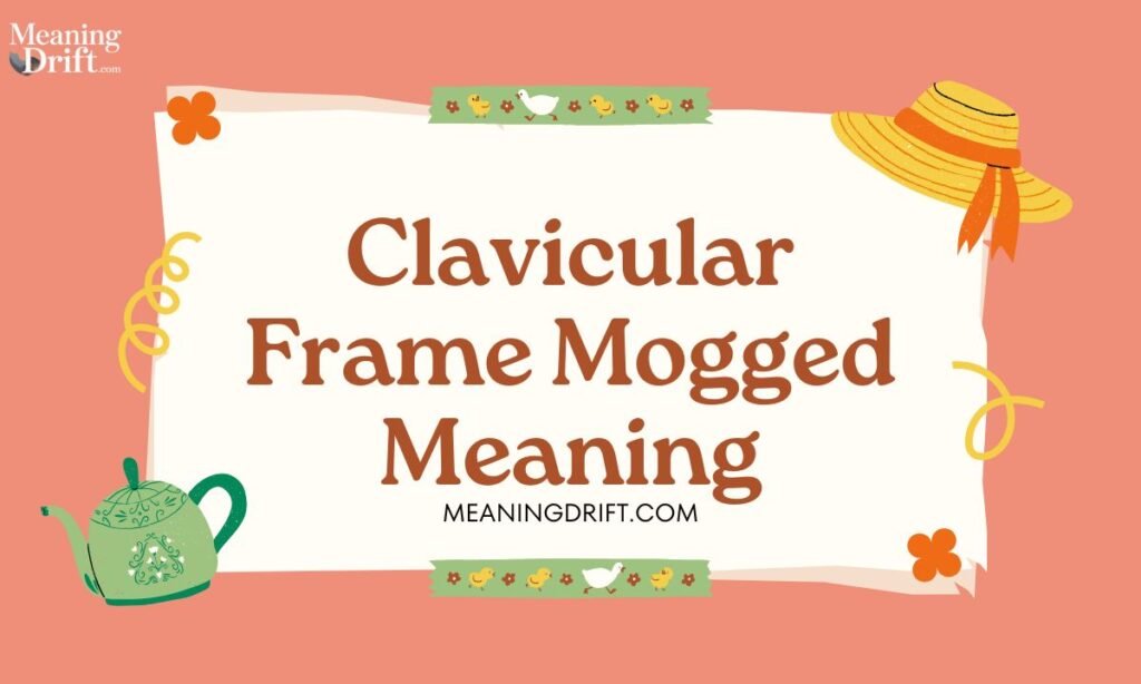 Clavicular Frame Mogged Meaning
