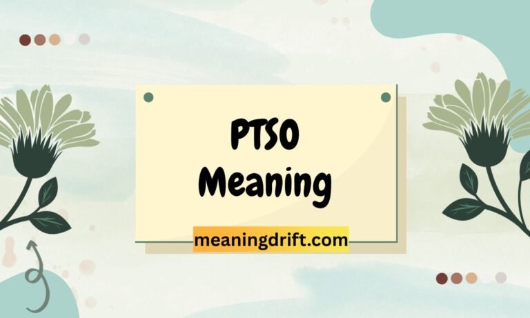 PTSO Meaning