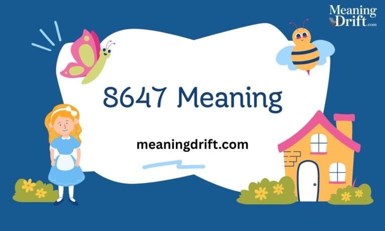 8647 Meaning