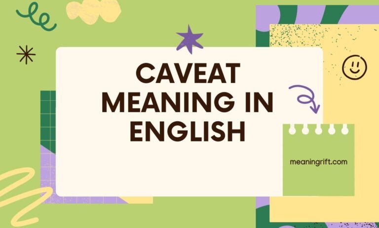 Caveat Meaning in English