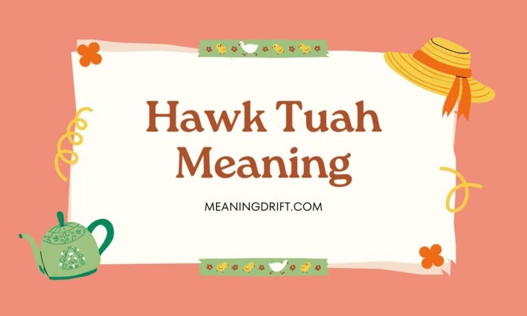 Hawk Tuah Meaning