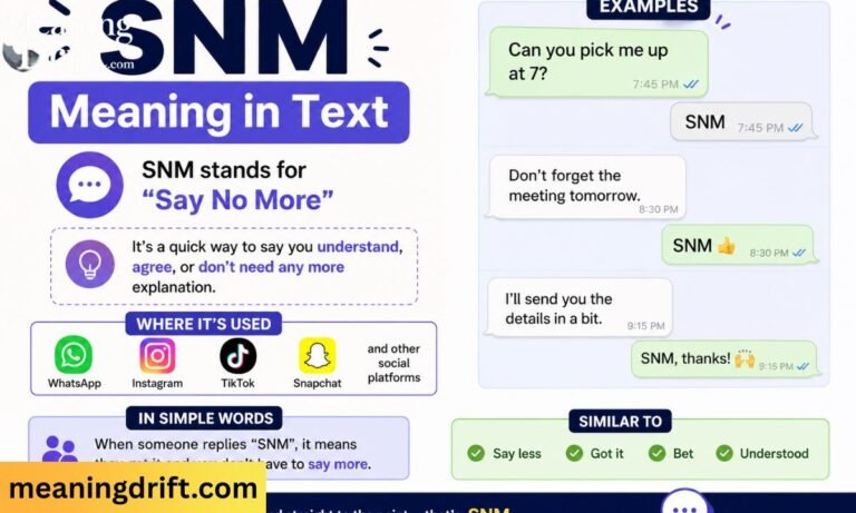 SNM Meaning in Text