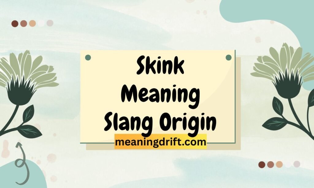 Skink Meaning Slang Origin