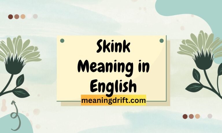 Skink Meaning in English