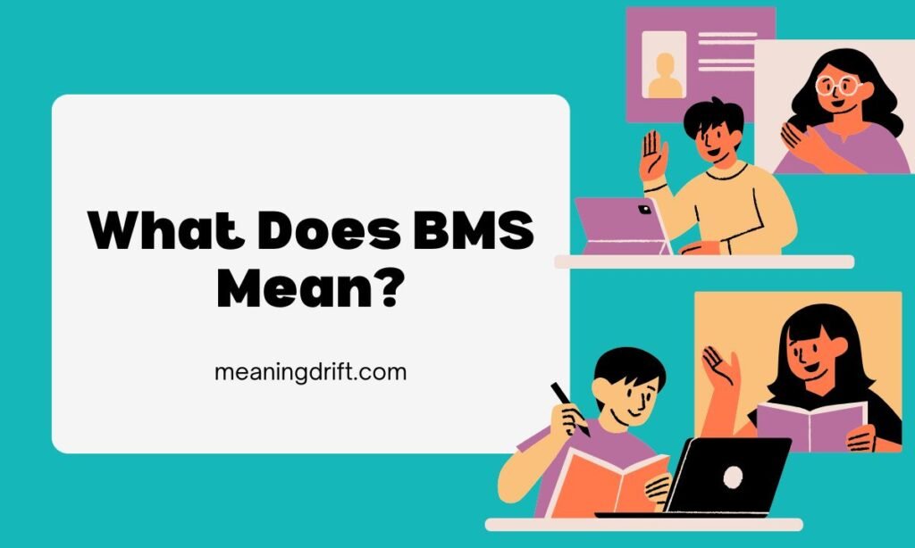 What Does BMS Mean