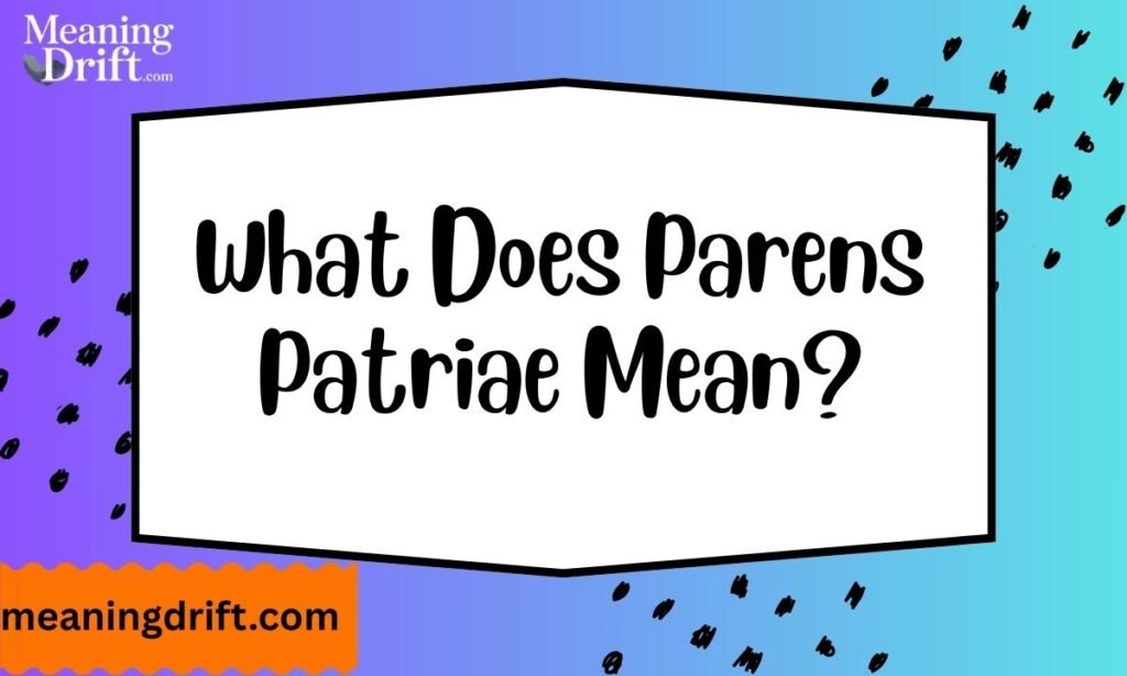 What Does Parens Patriae Mean