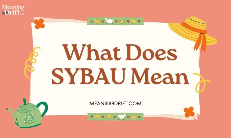 What Does SYBAU Mean